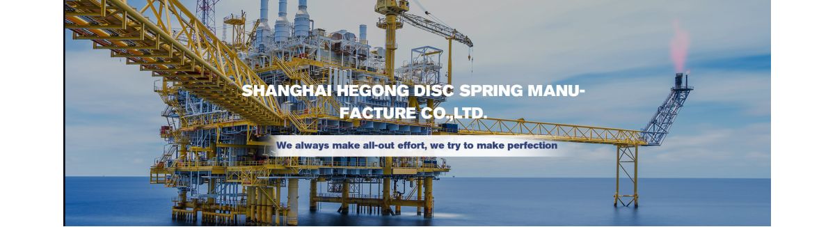 Shanghai Hegong Disc Spring Manufacture Co.,Ltd.