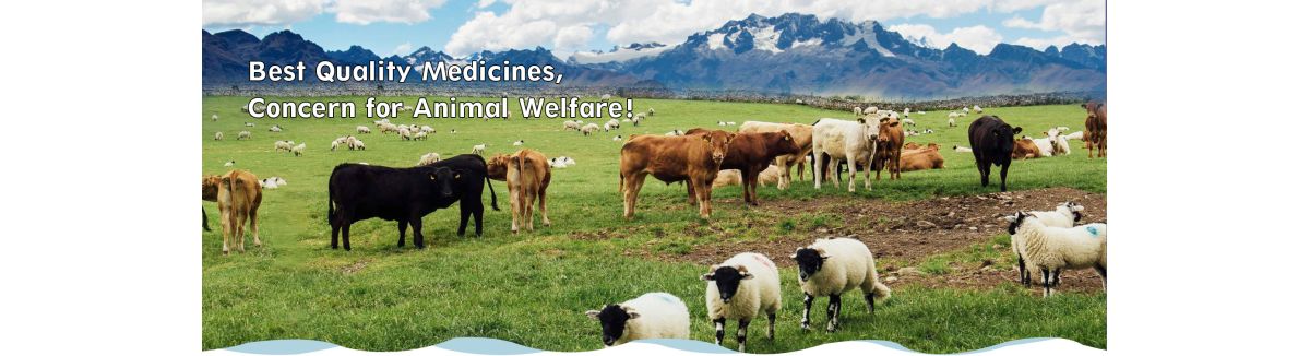 Hebei Huarun Pharmacy Co., Ltd.
