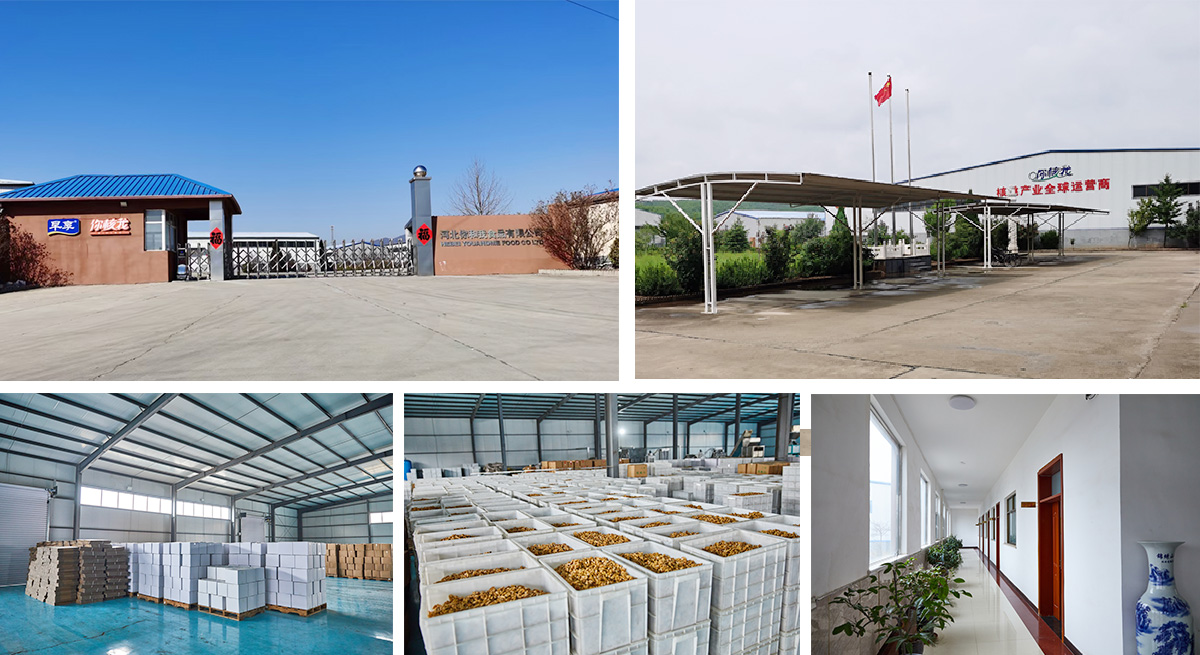Hebei You And Me Food Co., Ltd.