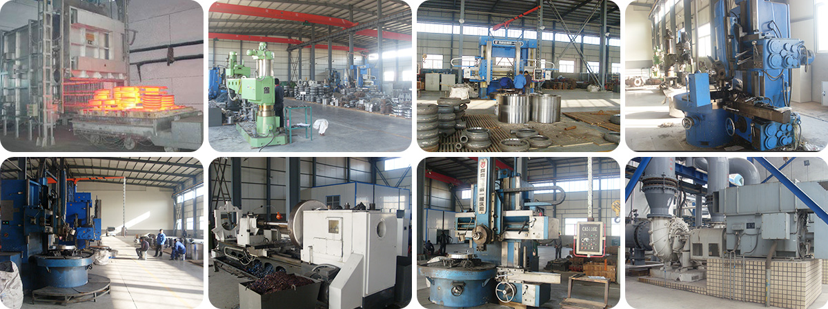 Shijiazhuang Longwei Pump Co., Ltd.