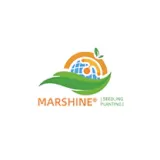 Hebei Marshine New Material Technology Co., Ltd.